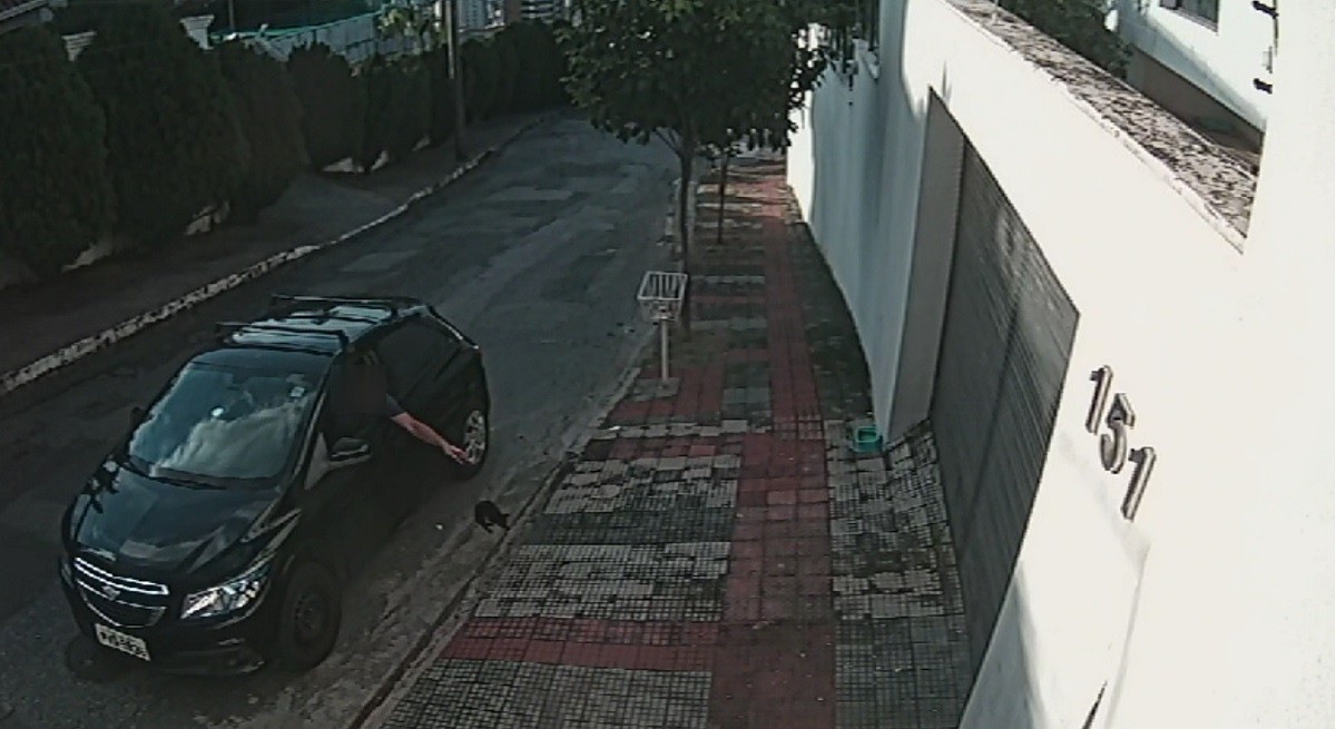 Vídeo mostra o momento que o animal foi abandonado na rua