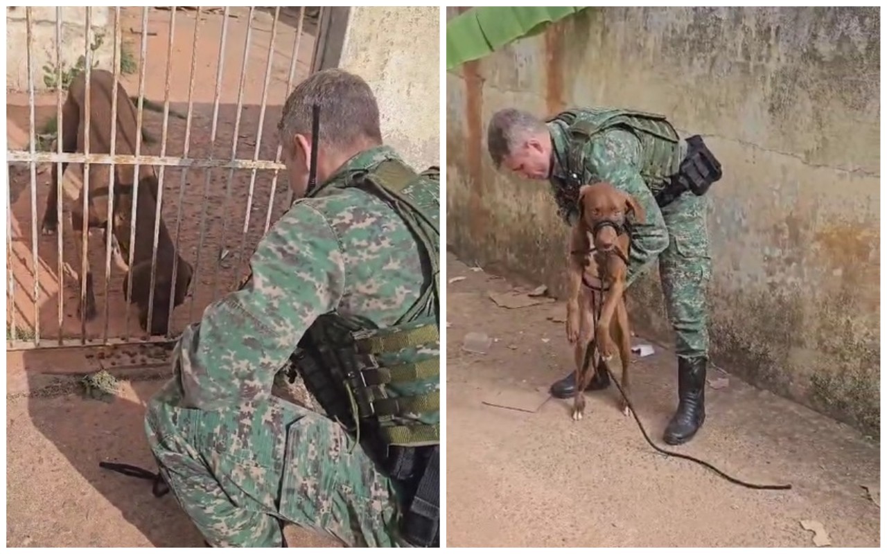 Cão foi resgatado pela Polícia Militar