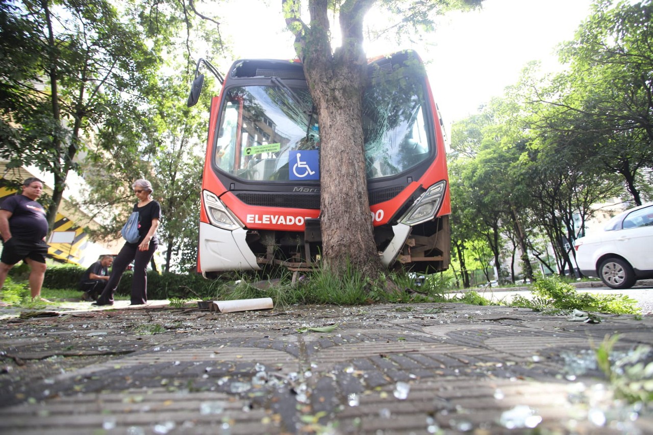 O coletivo bateu em uma árvore na avenida José Cândido da Silveira