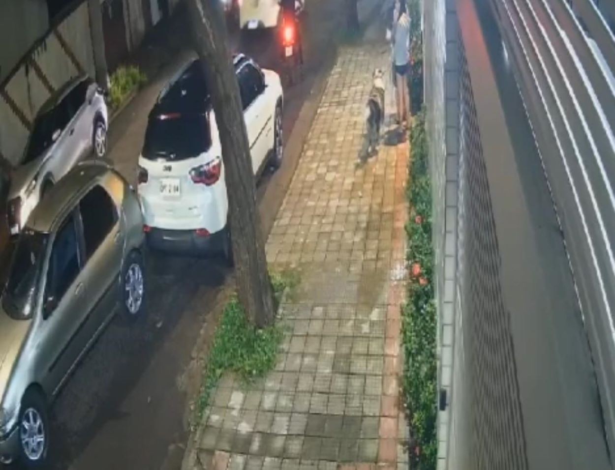 Motorista causou o acidente após não conseguir subir o morro da rua Castelo Lamêgo
