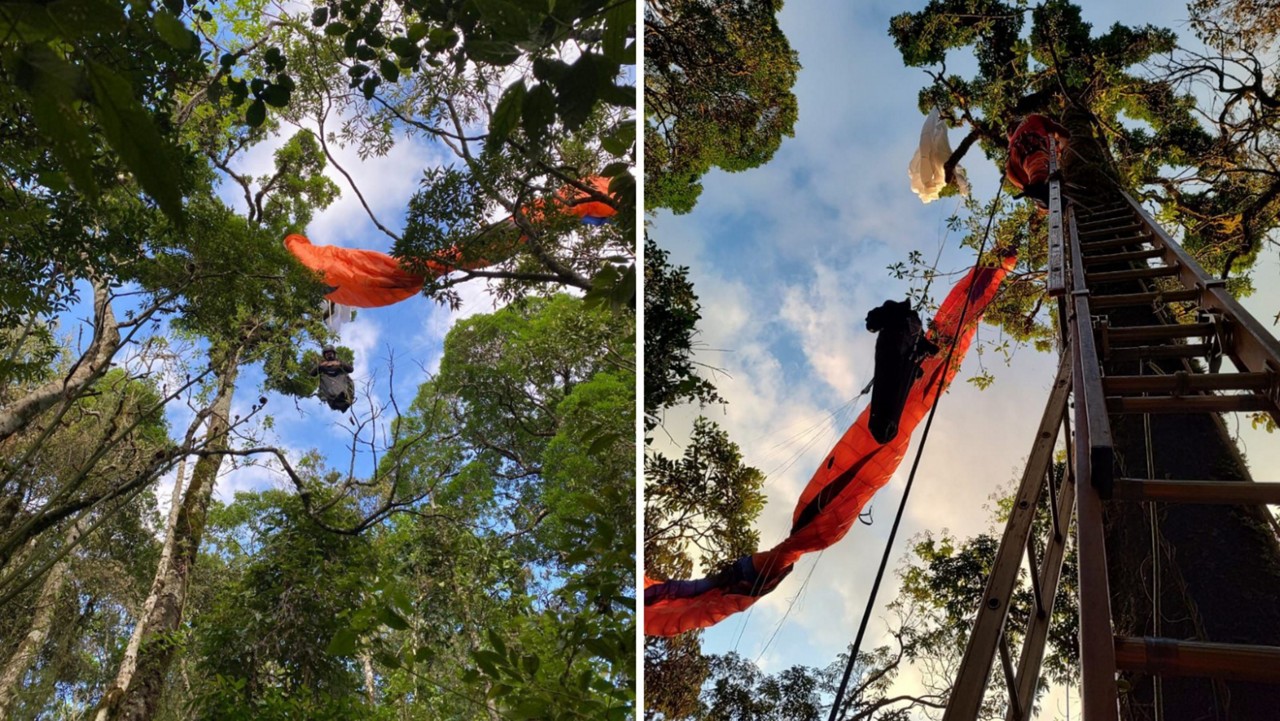 Praticante de paraglider ficou preso entre as árvores