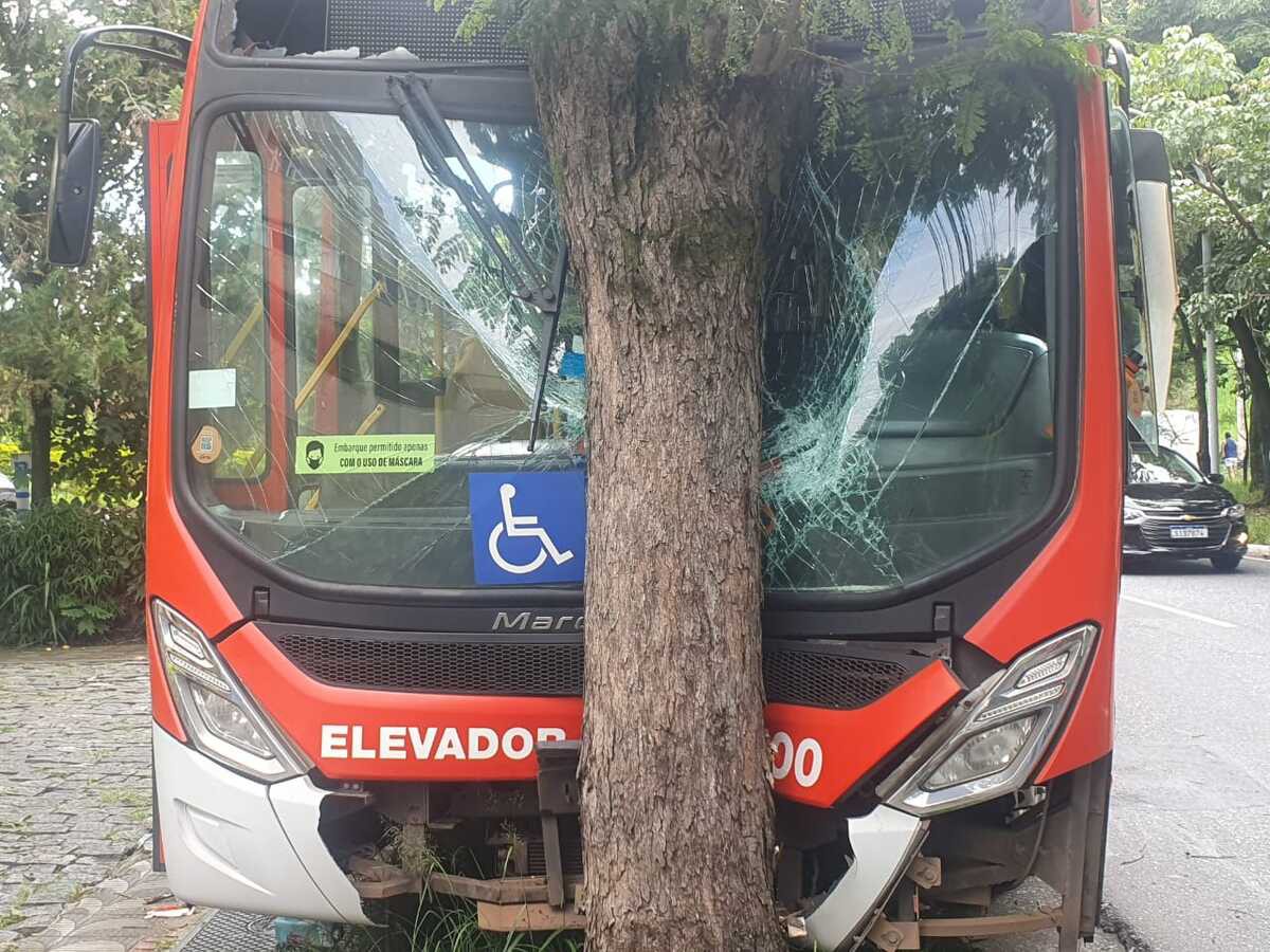 BH - Ônibus bate de frente com árvore na Avenida José Cândido da Silveira e deixa 7 feridos