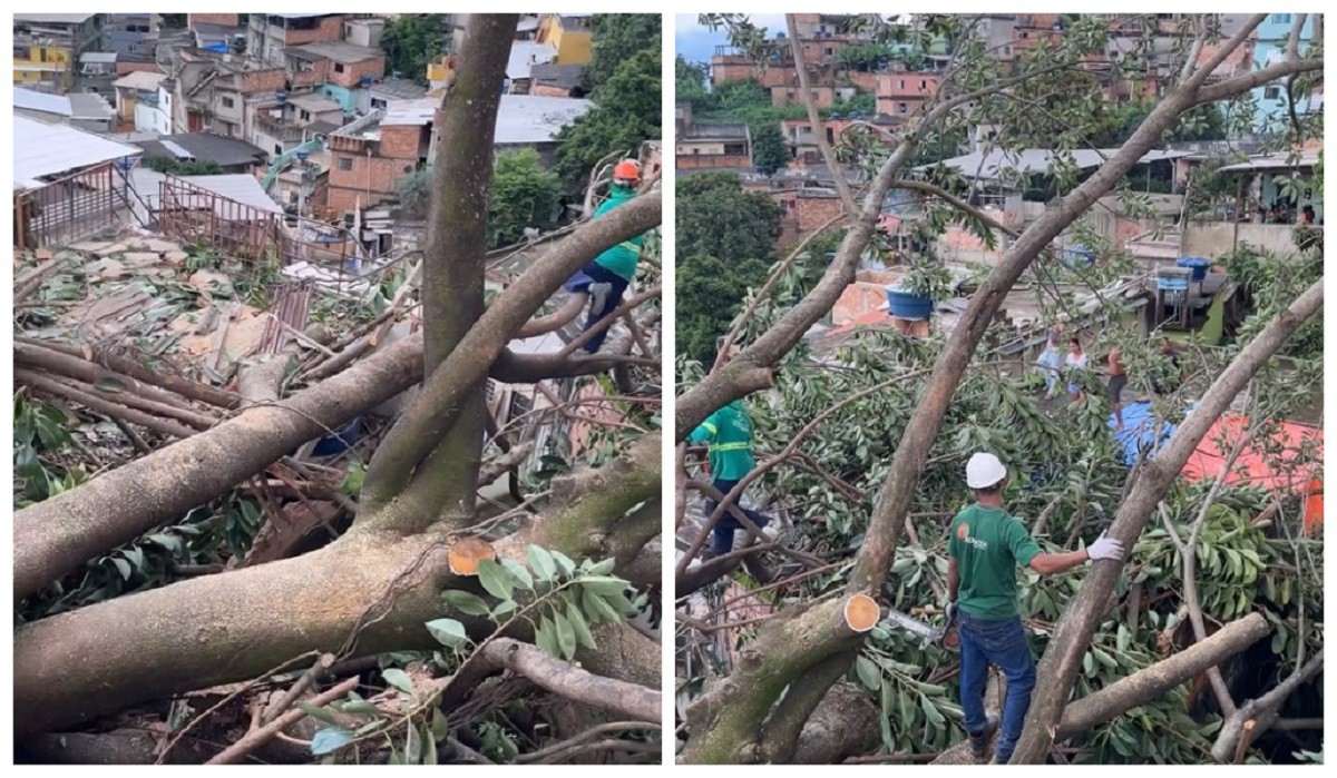 Queda de árvore causou estragos em pelo menos oito imóveis do alglomerado