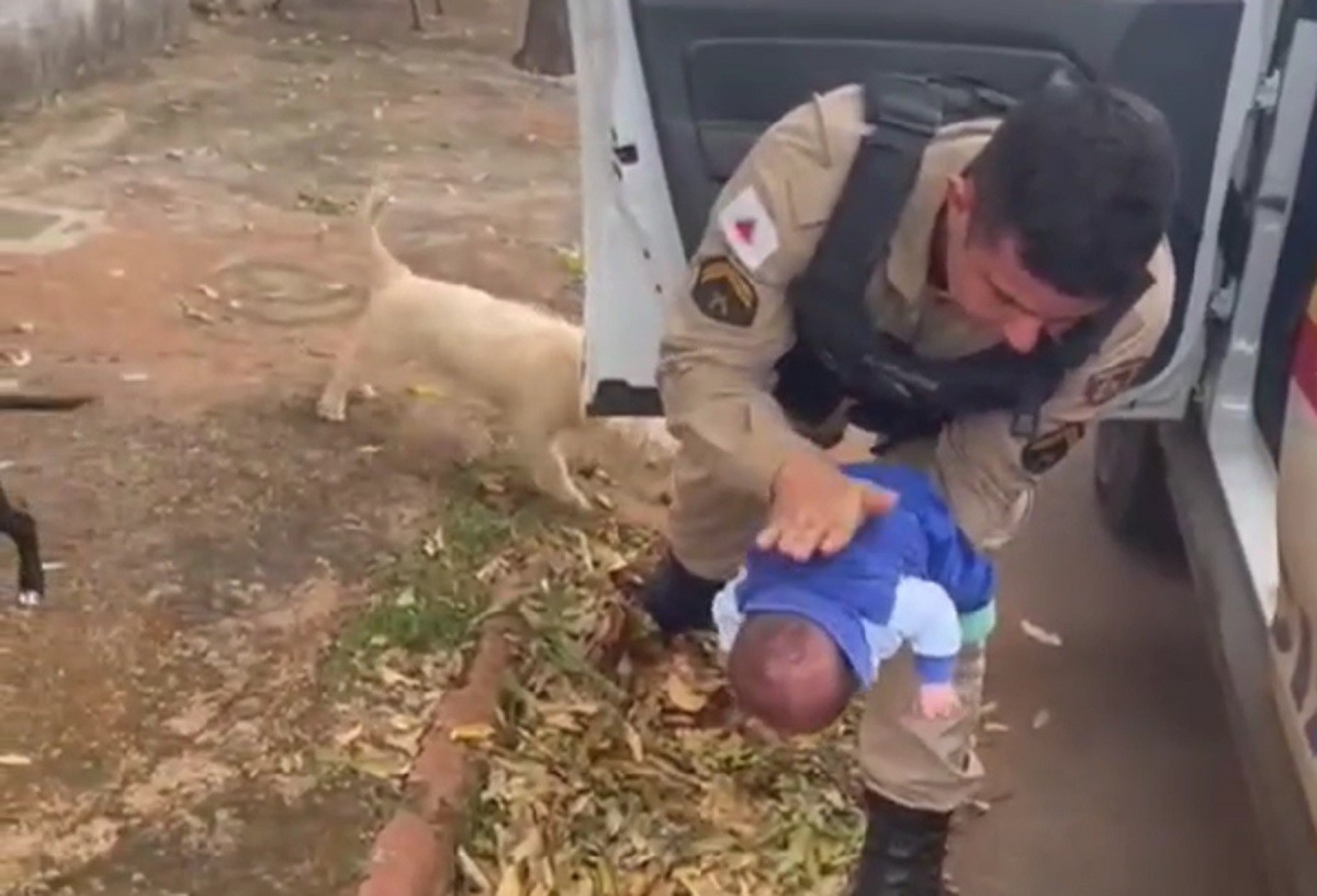 Momento do resgate foi filmado e gerou comoção nas redes sociais