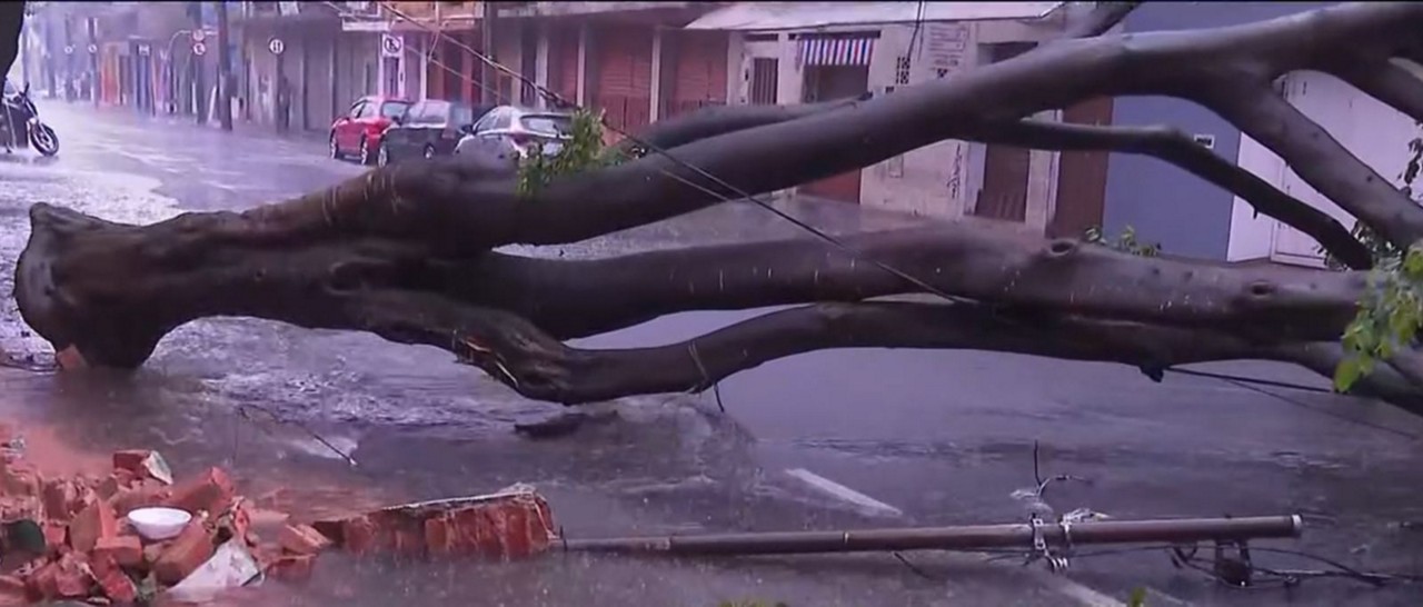 Apesar do susto, ninguém se feriu