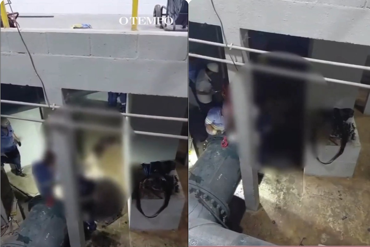 Animal foi retirado nesta quarta (6/5)