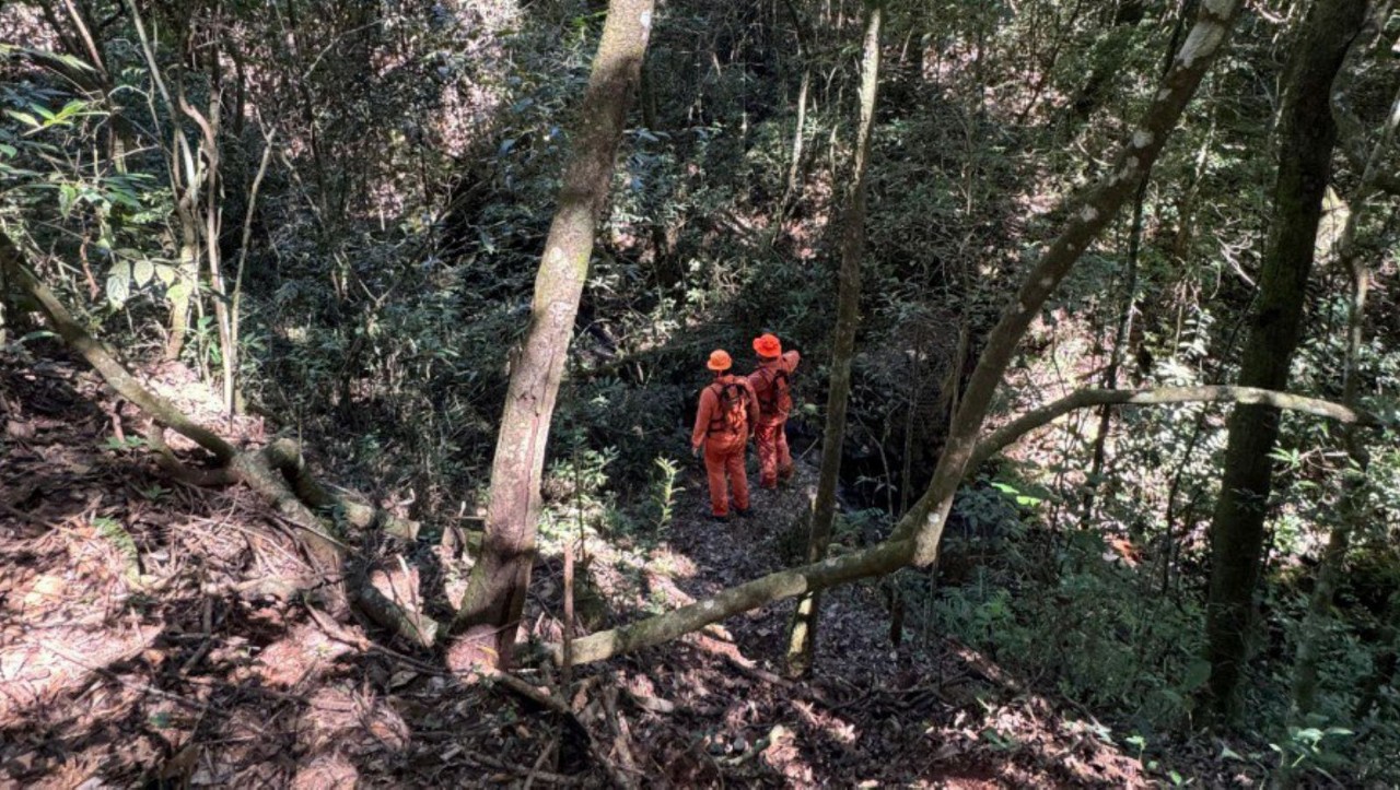 Buscas reuniram equipes do Corpo de Bombeiros, da Polícia Militar e da Guarda Municipal