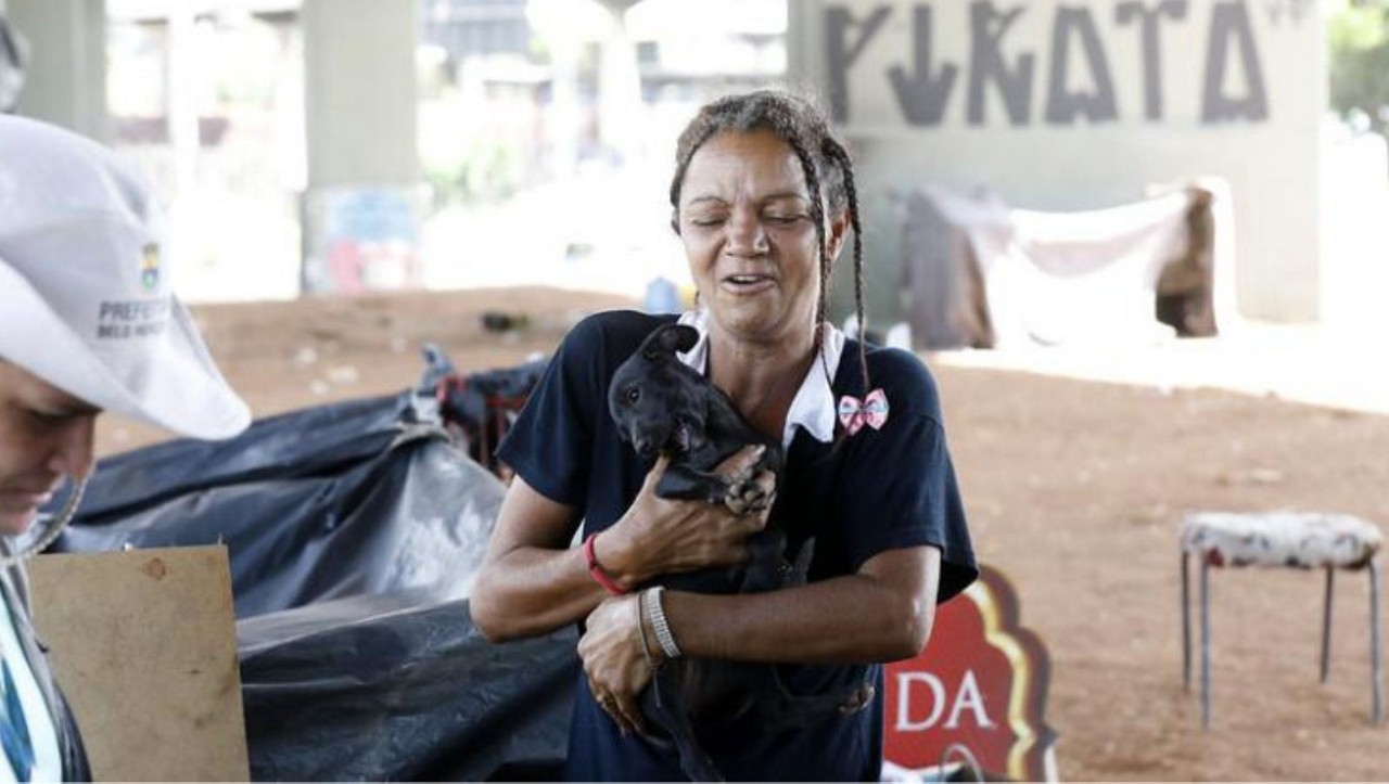 Tutores podem fazer pré-cadastro online para a castração de cães e gatos