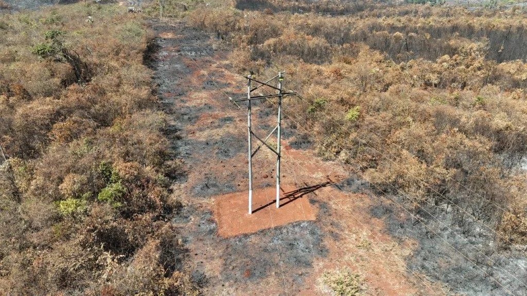 Segundo levantamento da companhia, de janeiro a agosto deste ano foram registradas 476 ocorrências causadas por incêndios