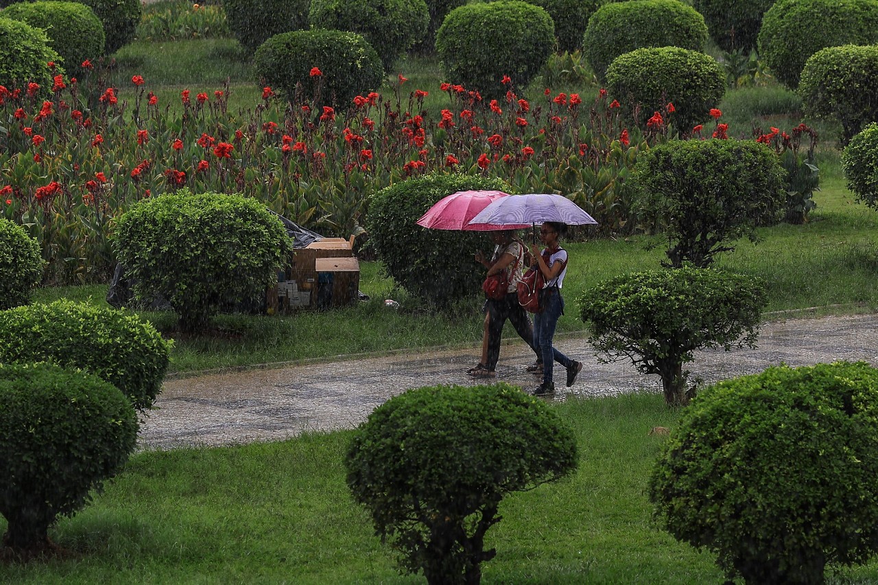 BH - Feriado do Dia da Consciência Negra terá variações no clima, como calor, sol entre nuvens e chuva