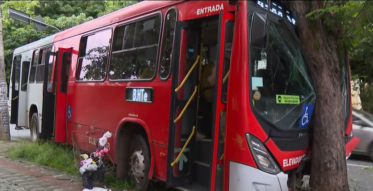 Ônibus bateu em árvore no bairro Cidade Nova
