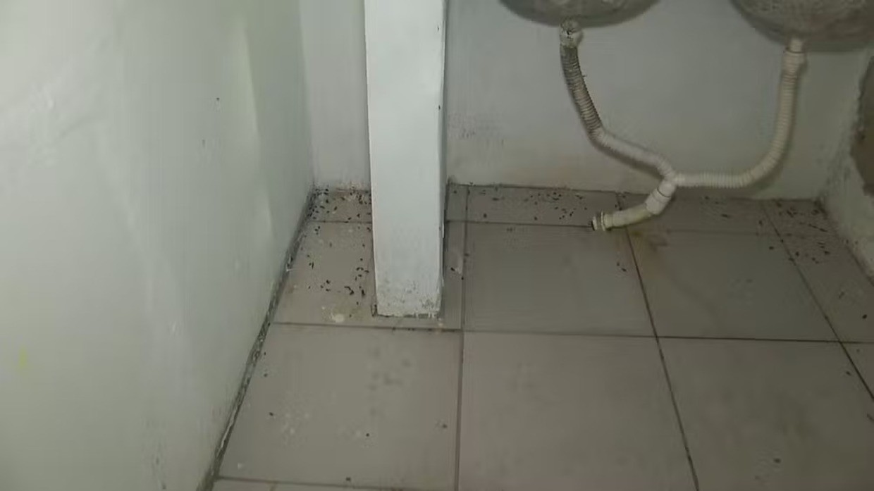 Fezes de rato no lar de idosos