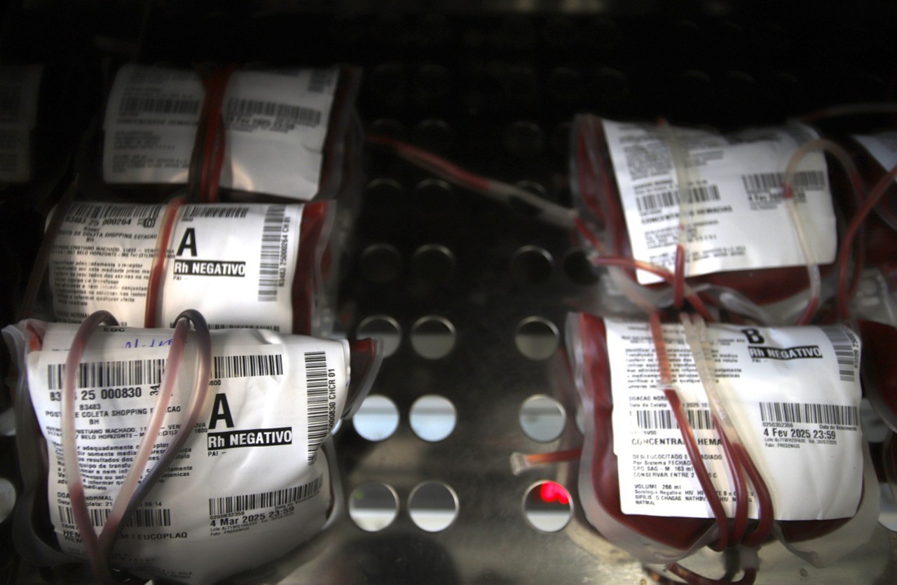 Agência transfusional do Hospital da Baleia, na região Leste, cuida do estoque e distribuição de bolsas de sangue da unidade