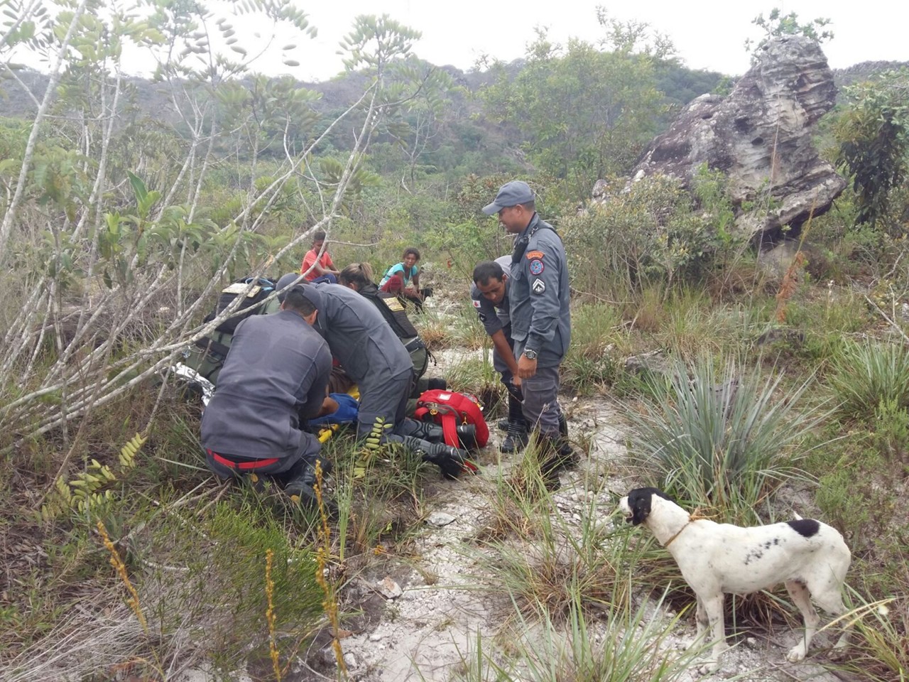 Homem ouviu cachorros latir e foi ver o que tinha acontecido quando foi atacado