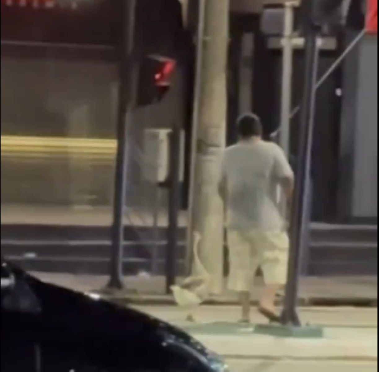 Imagem mostra o homem caminhando tranquilamente com o ganso em BH