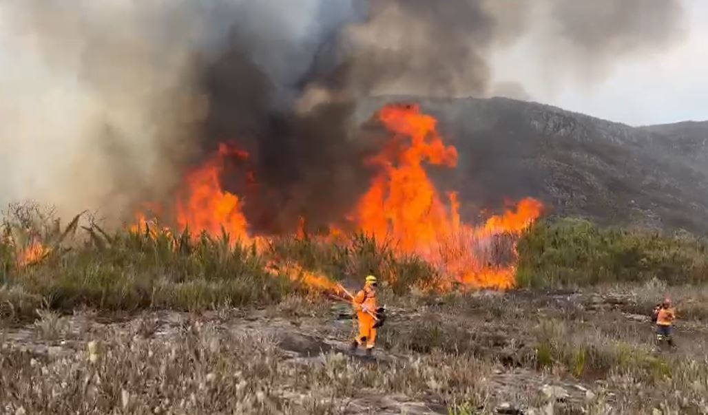 Operação está no 11º dia e conta com 81 brigadistas, de várias frentes, incluindo Bombeiros, AMDA, ICMBio