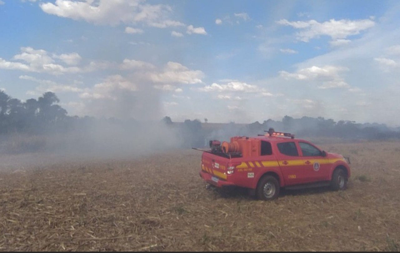 Segundo o CBMMG, cerca de 30 hectares da vegetação foram atingidos pelo incêndio