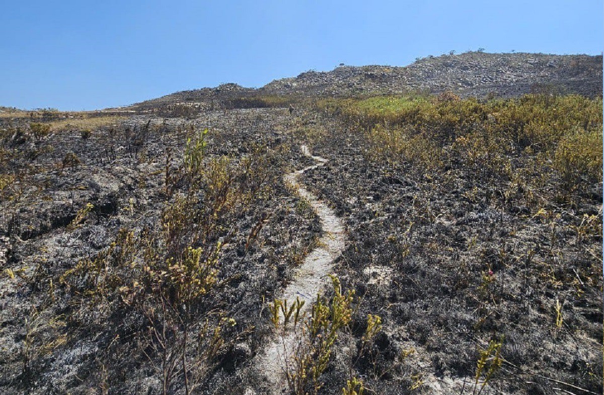 Incêndio destruiu enorme área na serra do Cipó 