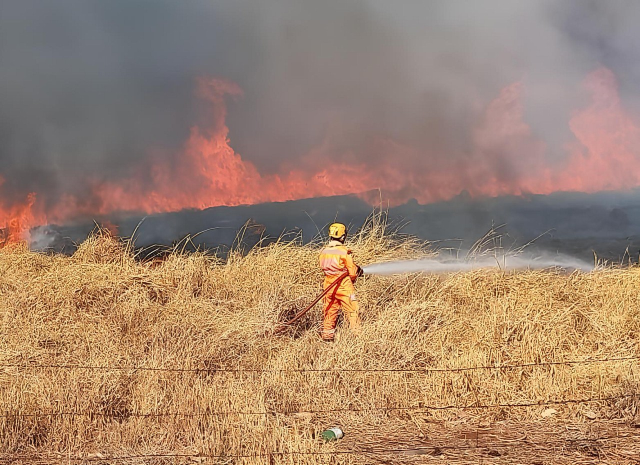 Militar do Corpo de Bombeiro combate incêndio florestal em Ituiutaba (MG) 