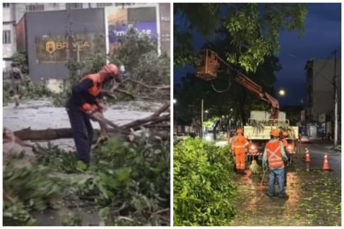 Chuva deixou rastro de destruição