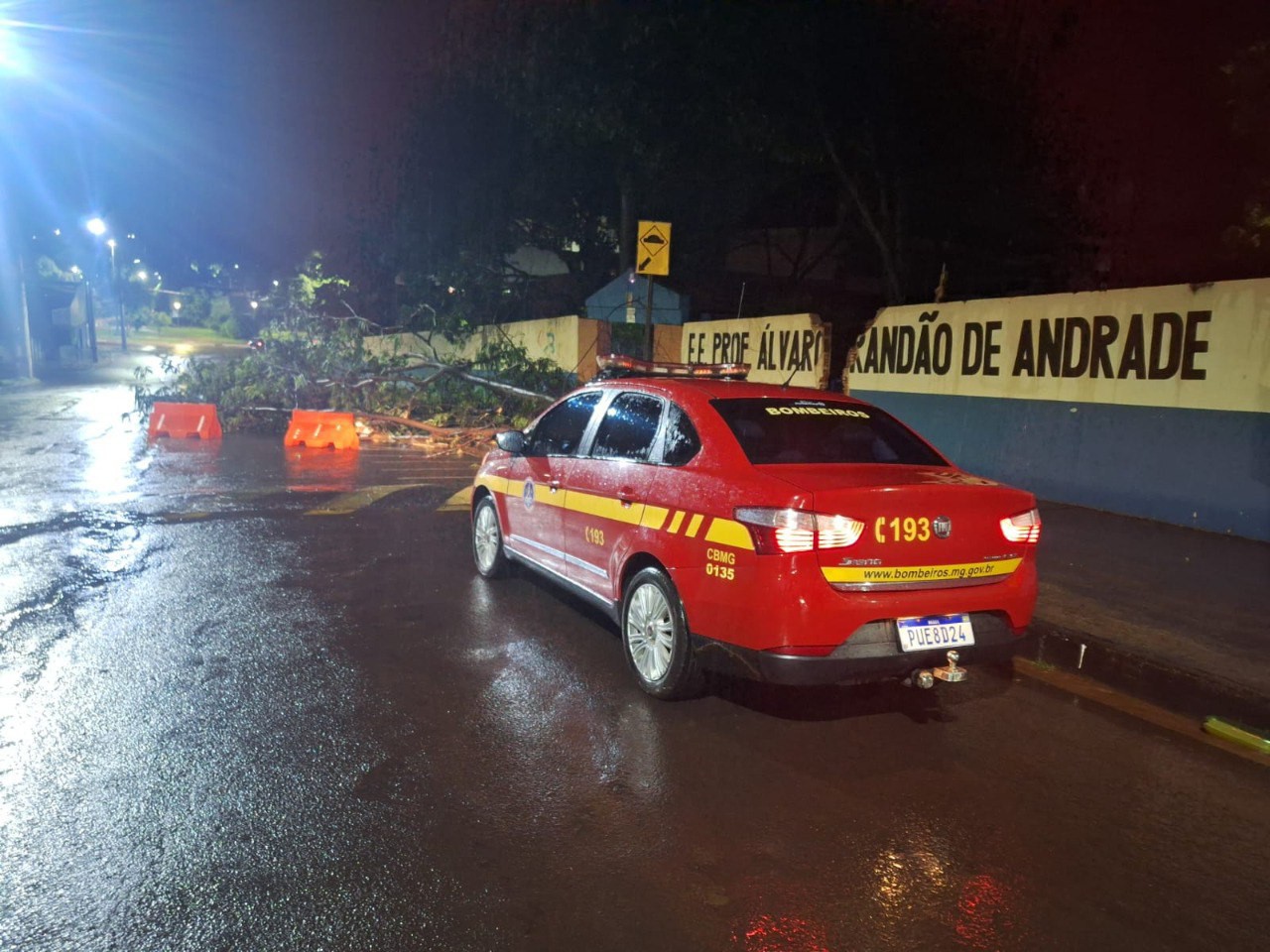 Várias árvores caíram em Ituiutaba e ao menos cinco pessoas ficaram ilhadas