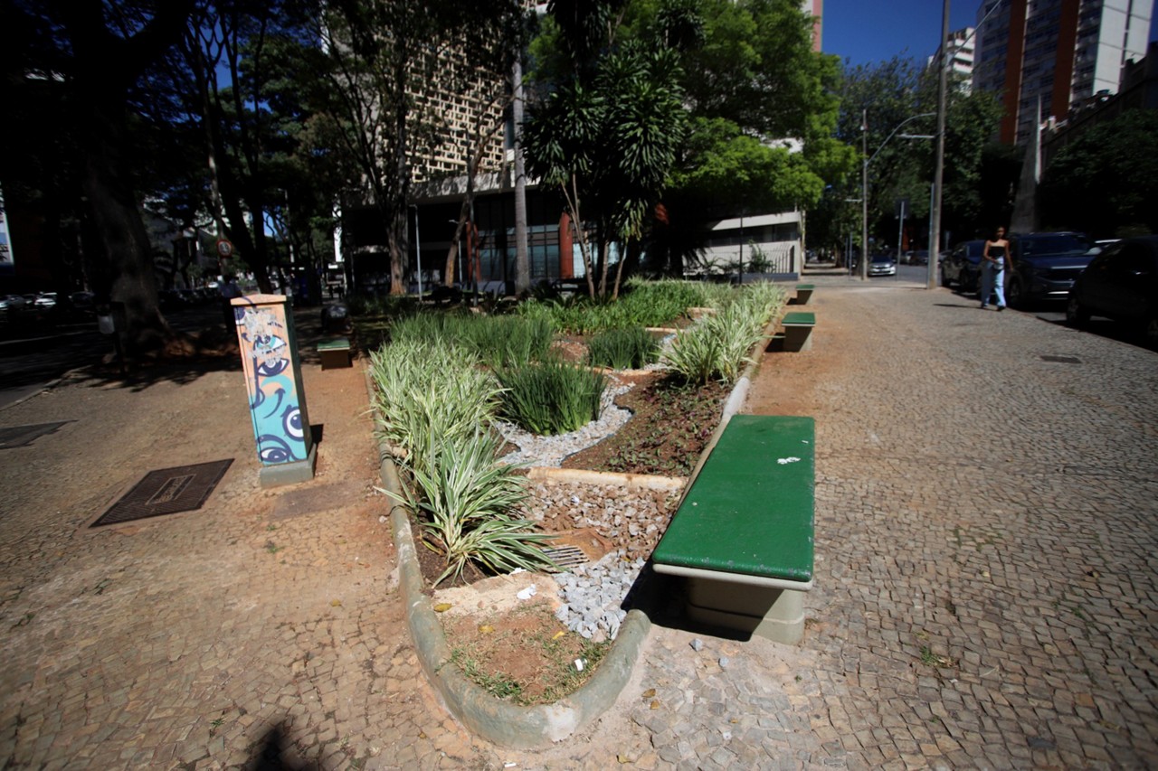 Hipercentro de BH ganha dois jardins de chuva 