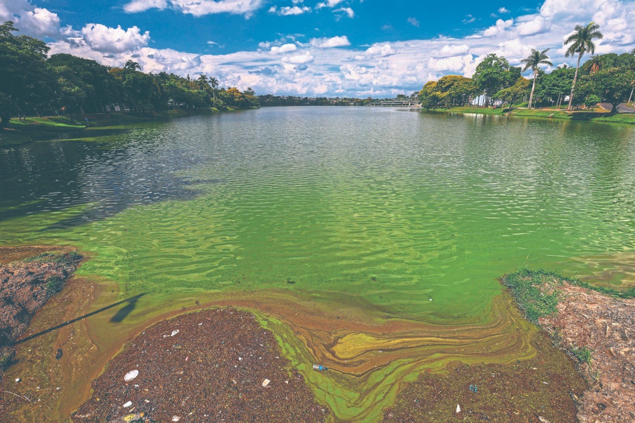 As águas da Lagoa da Pampulha podem ser utilizadas para contato secundário com o ser humano