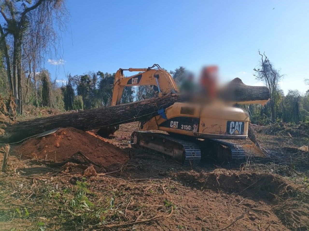 O corpo do motorista ficou preso sob o tronco da árvore
