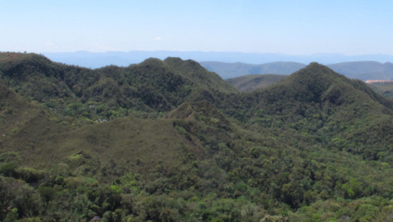De acordo com o Instituto Estadual de Florestas (IEF), a área desmatada passou de 10.030 hectares em 2023 para 7.451 em 2024 — o que indica uma redução de 25%