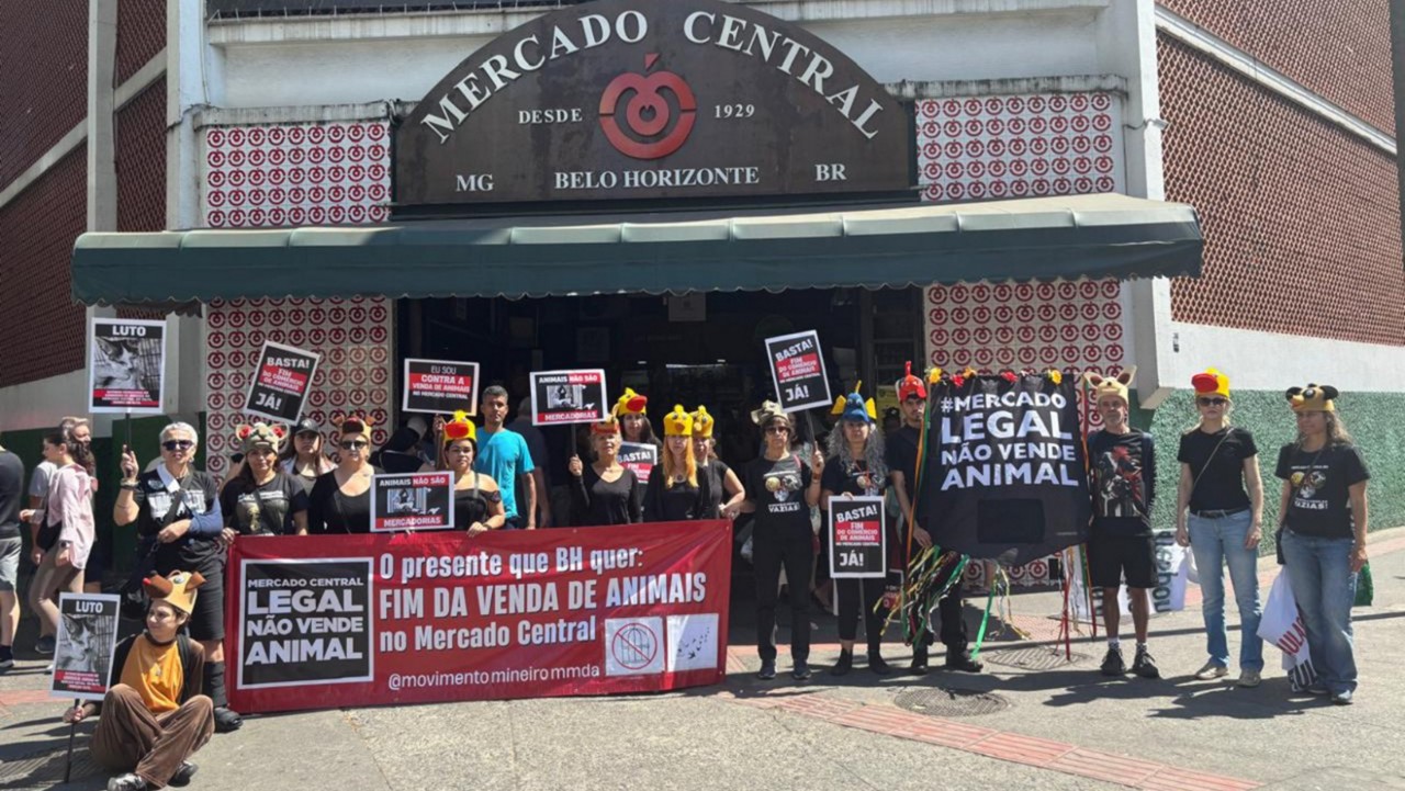 Protesto em frente ao Mercado Central no aniversário do local neste domingo (7/9)