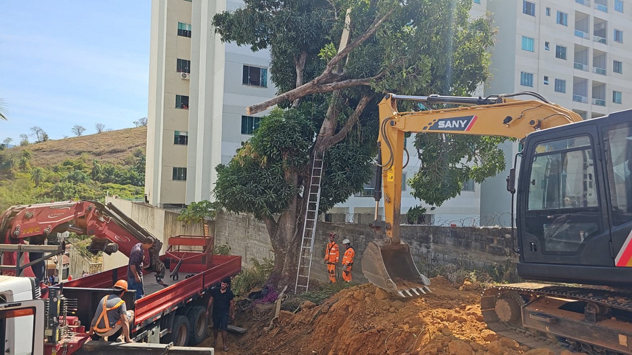 Acidente aconteceu no momento em que o homem fazia a poda em uma árvore de grande porte