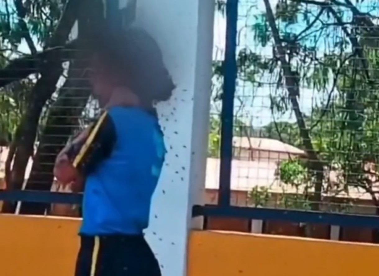 Motoboy enfrenta enxame de abelhas para salvar aluna na Grande BH