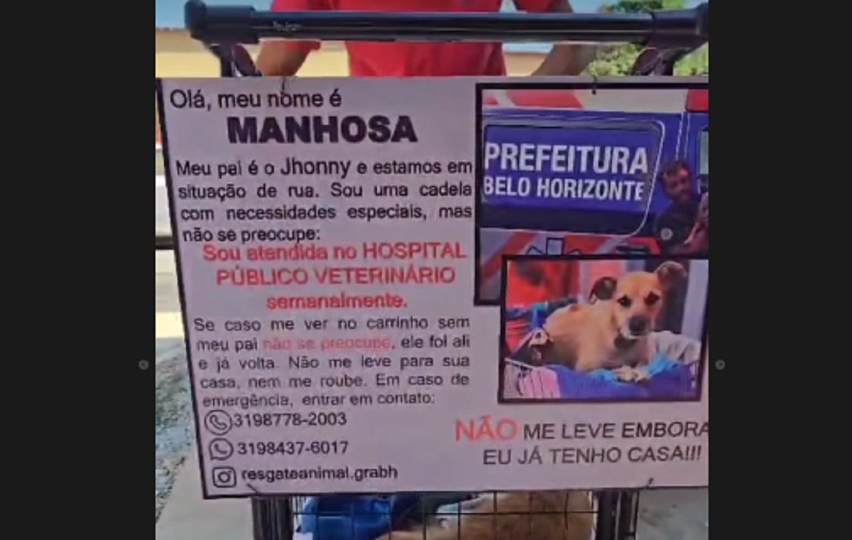 Placa avisa protetores que animal é bem cuidado e recebe atendimento no hospital público veterinário