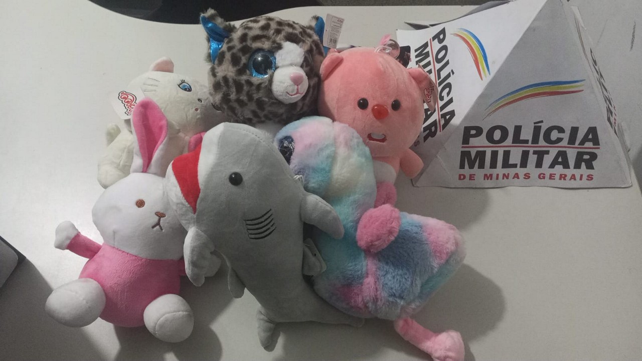 Suspeito estava com sete pelúcias ao ser abordado pelos militares