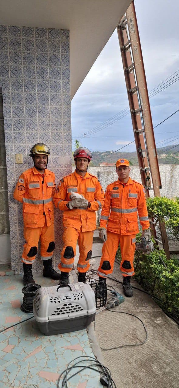 Os bombeiros resgataram o gatinho que ficou preso durante dois dias. Para o salvamento foi necessário quebrar a parede da casa