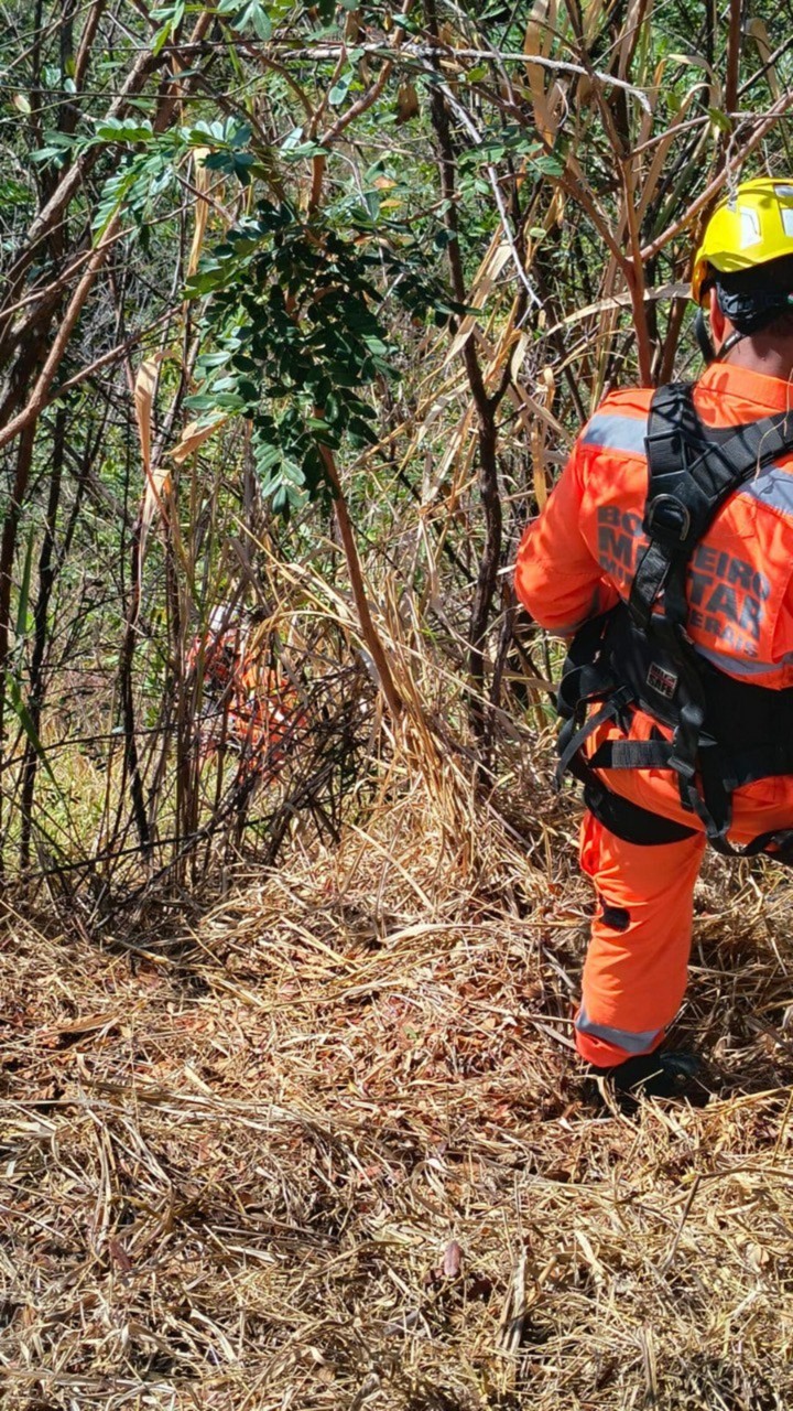O homem e o animal foram retirados do barranco em segurança e sem lesões