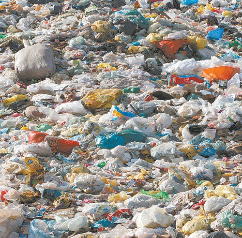 Órgão ambiental atrasa análise de projeto e culpa mudança na lei