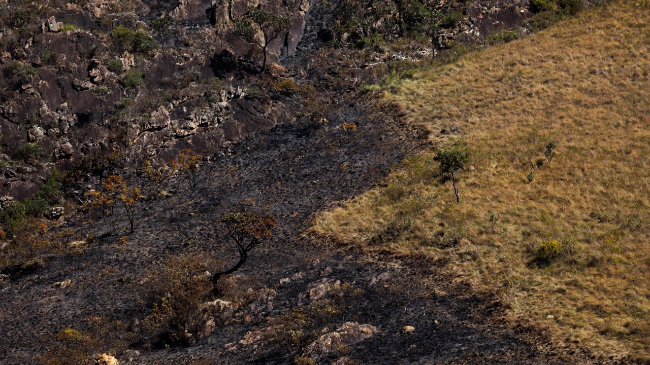 Seis equipes do Corpo de Bombeiros estão mobilizadas na operação de combate ao fogo 