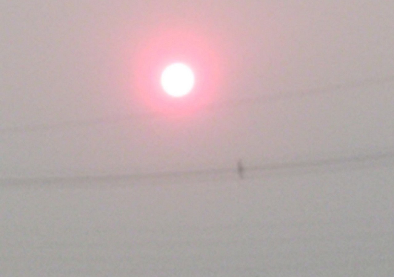 Sol com tonalidade vermelha indica má qualidade do ar 