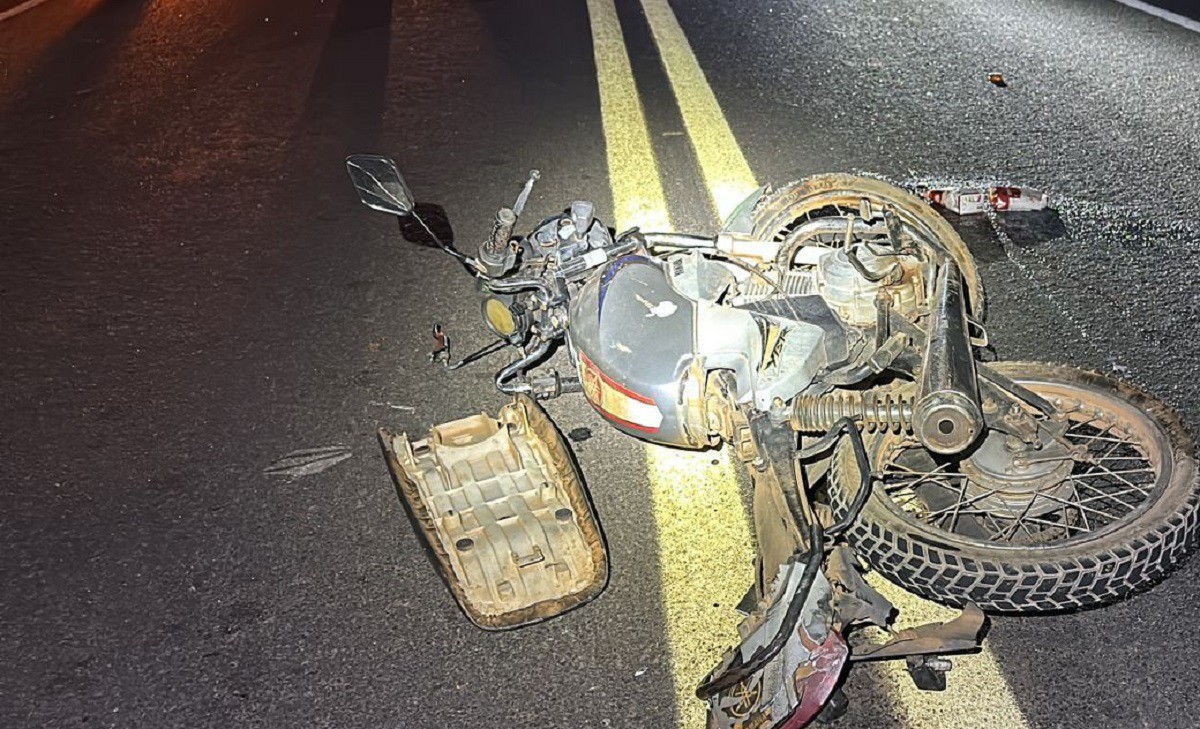 Motociclista morreu após o impacto com o animal