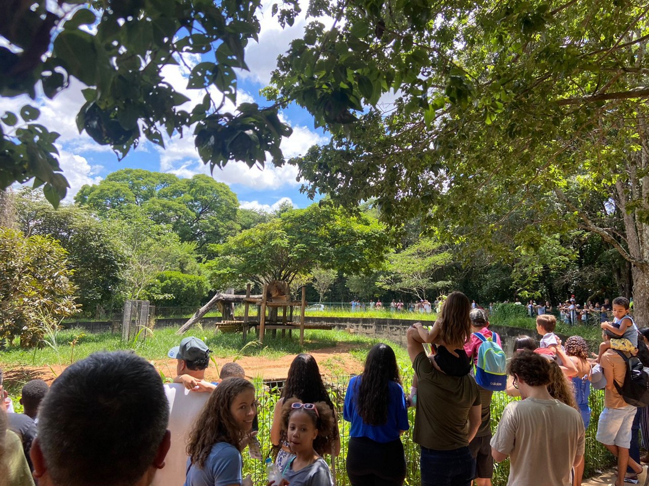 Zoológico de BH recebeu milhares de visitantes neste sábado (25)