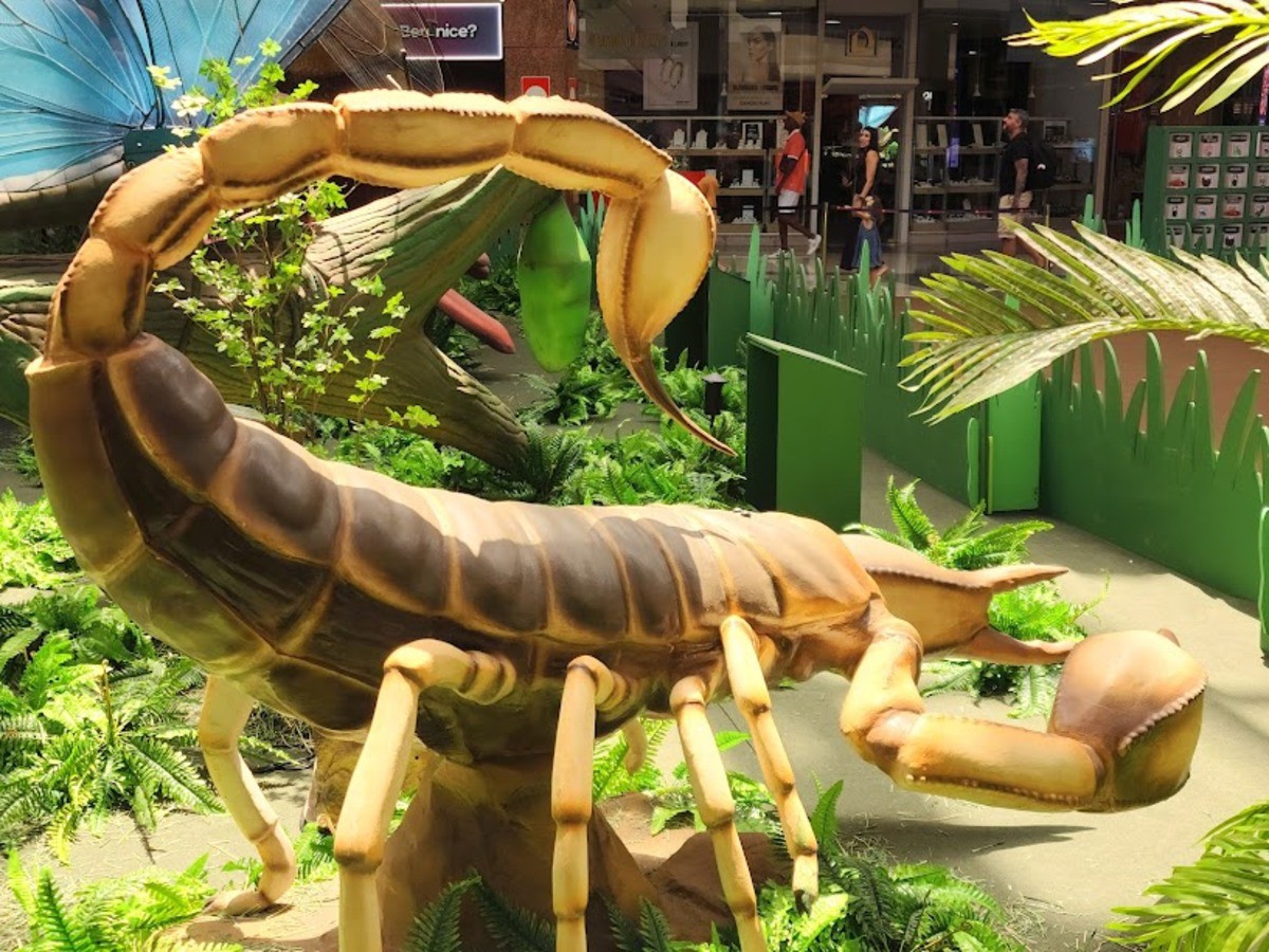 Com entrada gratuita, a exposição Natureza Gigante combina entretenimento e aprendizado no ItaúPower Shopping