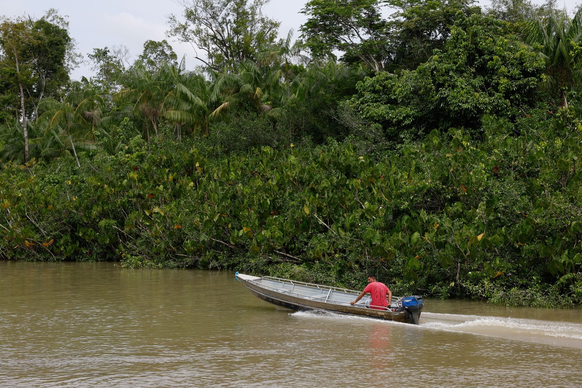 Belém (PA) 15/12/2024 – A Ilha do Combú, banhada pelo Rio Guamá, é uma Área de Proteção Ambiental (APA) e destino turístico amazônico na região insular de Belém, habitada por comunidades tradicionais que vivem de pesca, artesanato, turismo e produção de açaí. É ada através de barcos que partem com ageiros do Terminal Hidroviário Ruy Barata. Foto: Fernando Frazão/Agência Brasil
