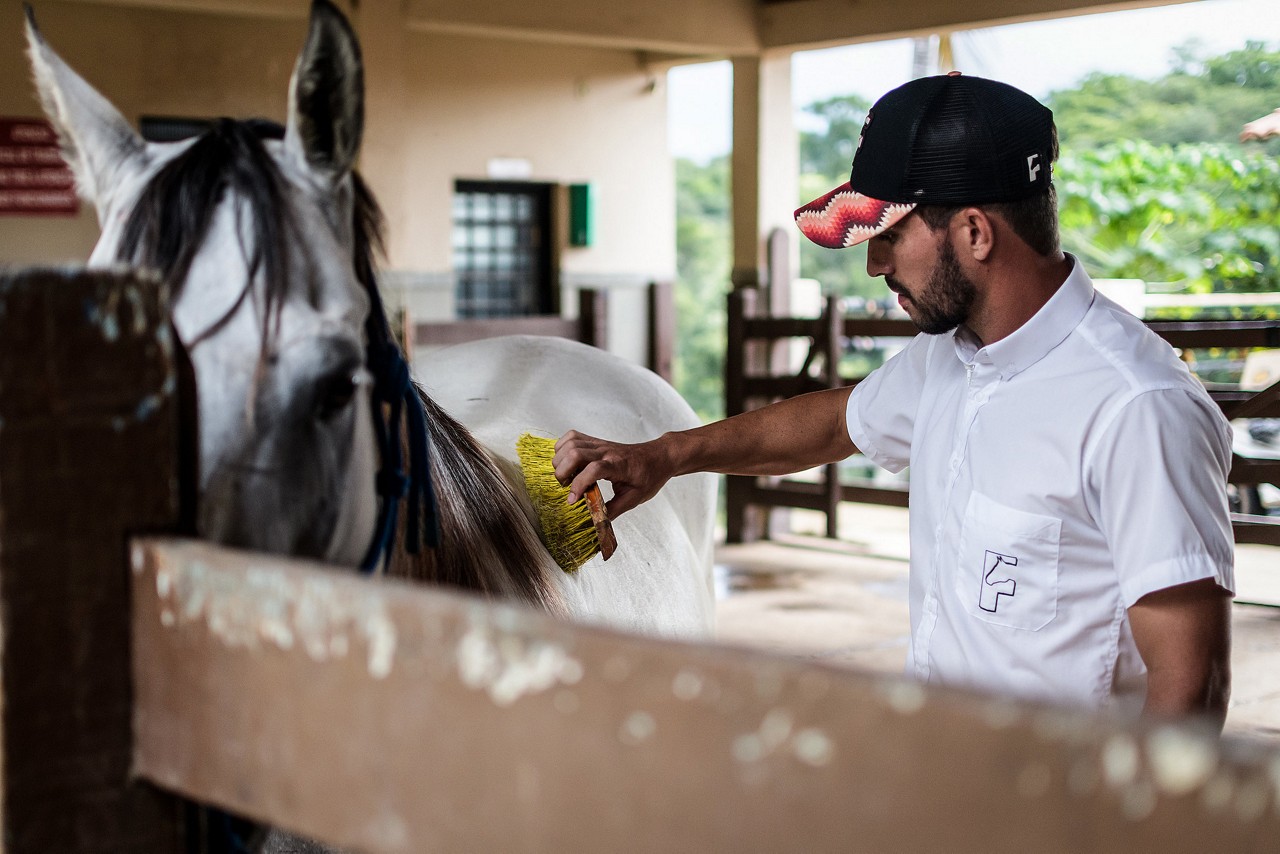 Lucas Silva tem cavalos da raça Quarto de Milha