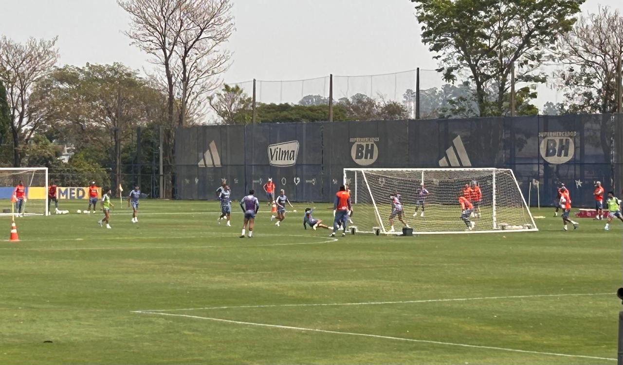 Técnico Fernando Diniz está em início de trabalho