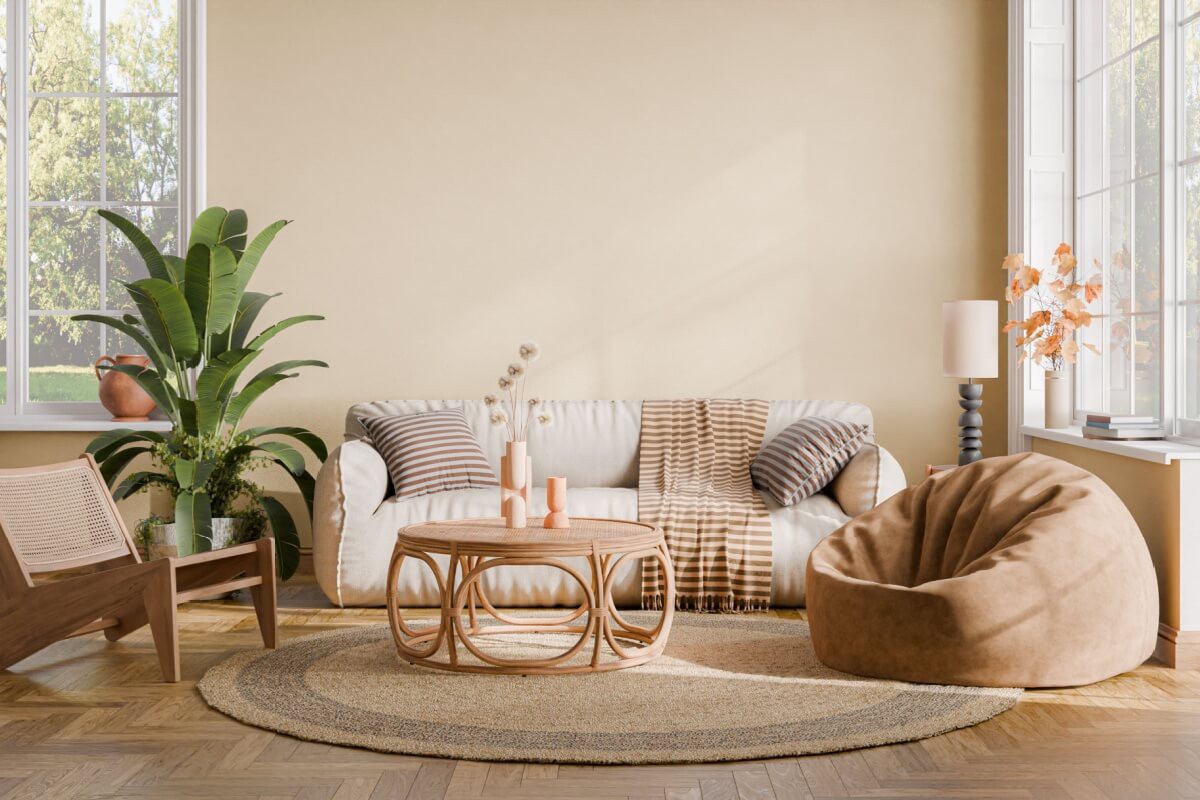 As plantas podem ser usadas para compor a decoração da casa