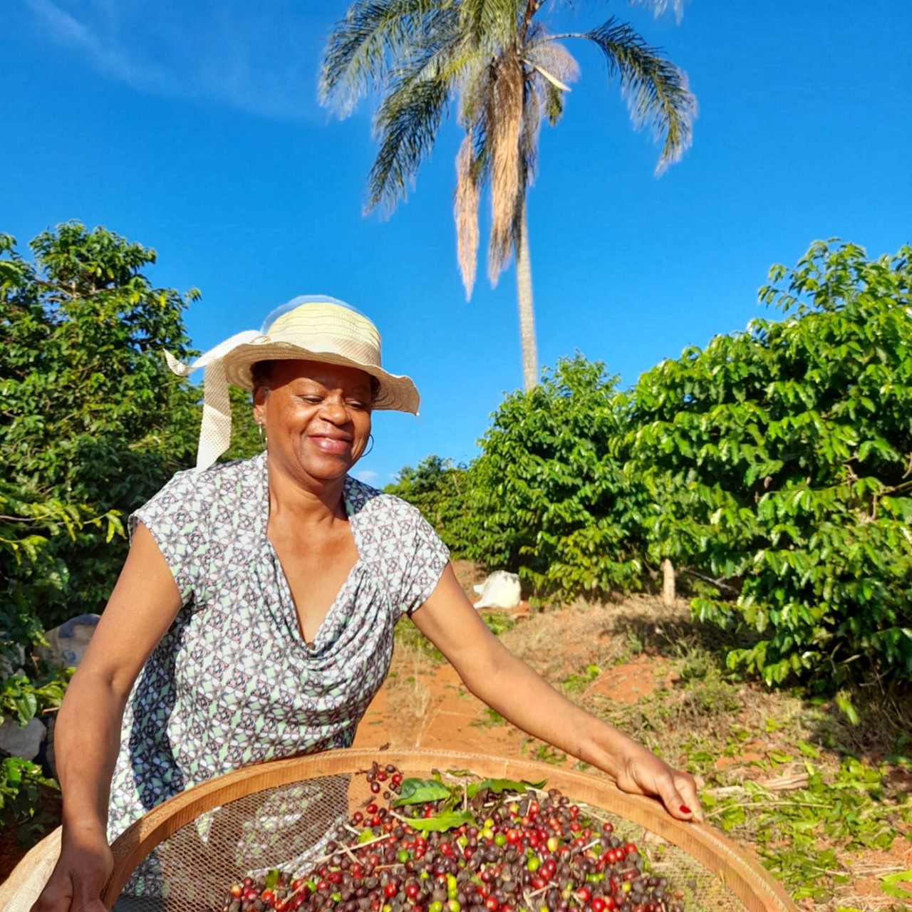 Mudança: família inverte lógica histórica de café como fonte de renda para brancos