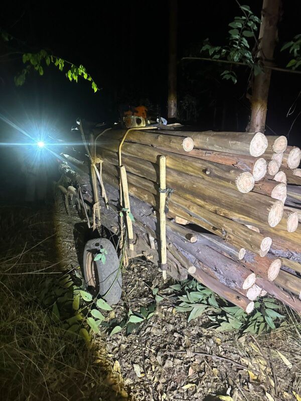 Dois homens são presos por extração ilegal de madeira e maus-tratos a animal em Bocaiuva