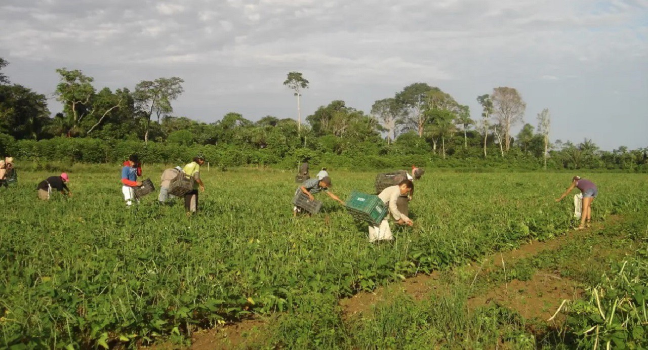 Agricultores poderão recorrer a crédito especial