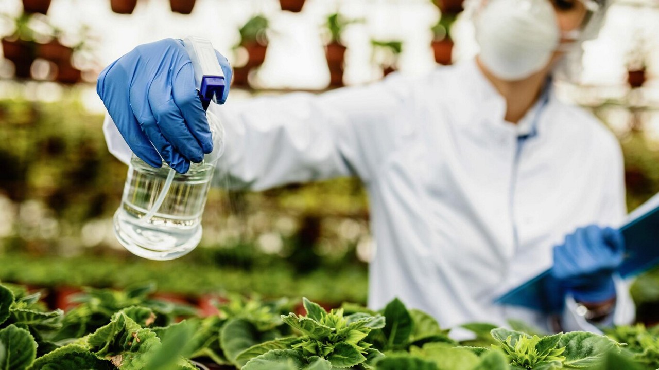 Pesticidas usados em plantas foram encontrados em produtos ultraprocessados